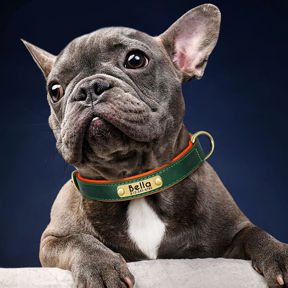 Premium Personalized Leather Dog Collar – Comfort Meets Style