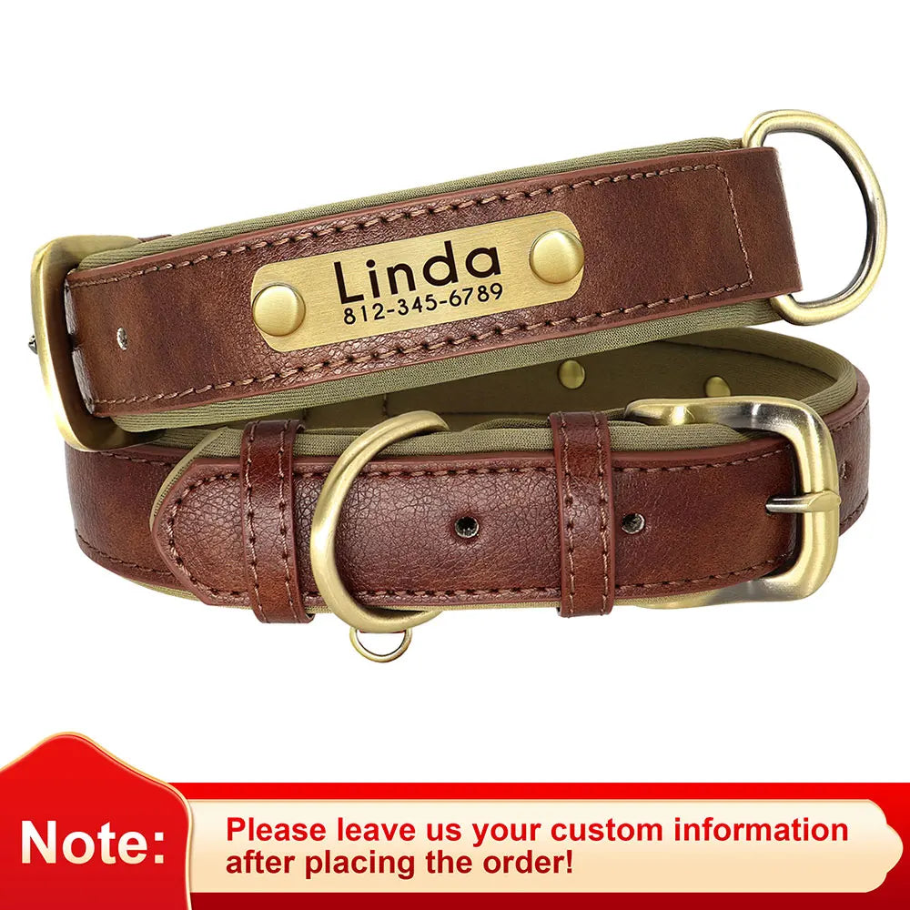 Premium Personalized Leather Dog Collar – Comfort Meets Style