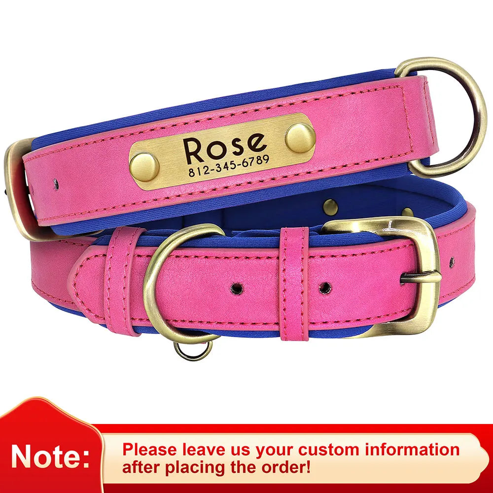 Premium Personalized Leather Dog Collar – Comfort Meets Style