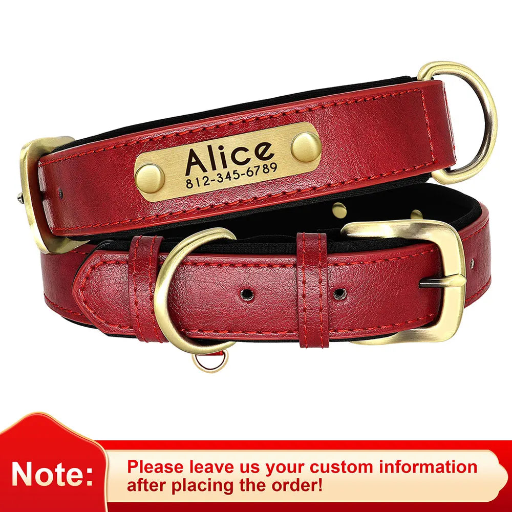Premium Personalized Leather Dog Collar – Comfort Meets Style